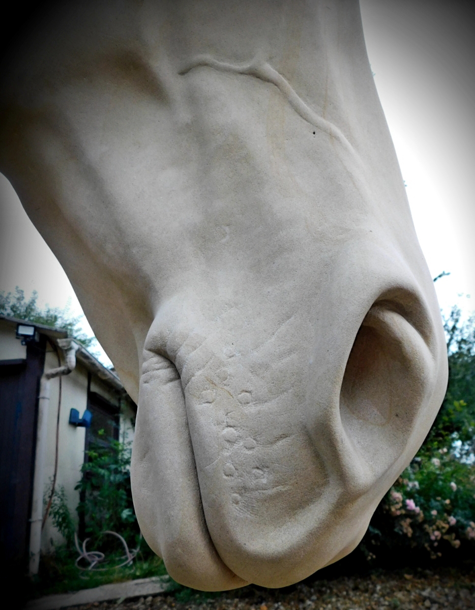 sculpture equine en pierre de Caen - Morgan Roulland